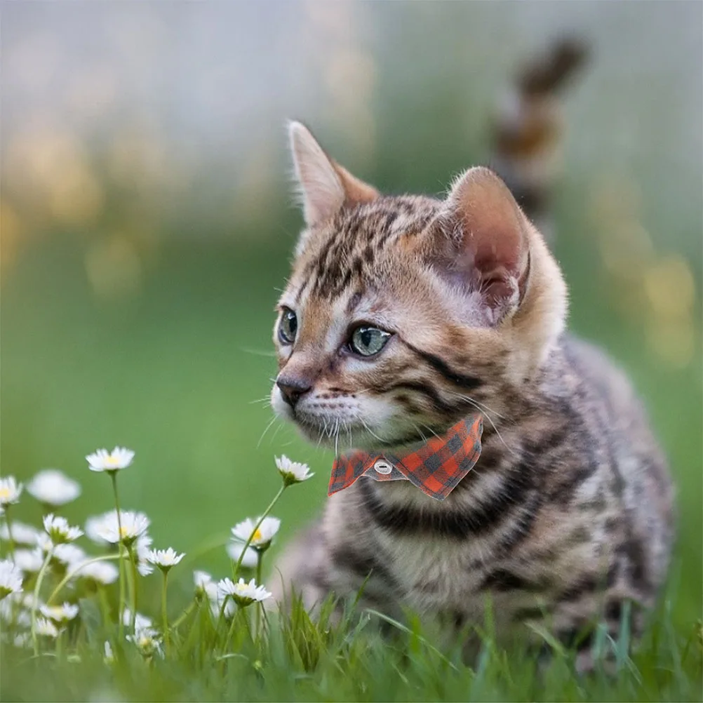 2Pcs Adjustable Cat Collar Kitten Neckwear Lake Blue Plaid Bell Cloth Safety Buckle Pet Supplies Dog Decorative Accessories
2Pcs Adjustable Cat Collar Kitten Neckwear Lake Blue Plaid Bell Cloth Safety Buckle Pet Supplies Dog Decorative Accessories