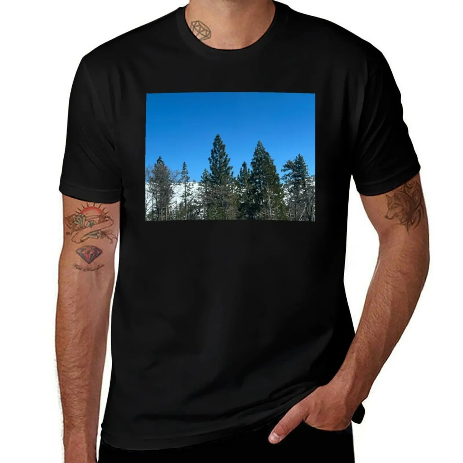 Sierra Nevada trees in the foreground T-Shirt sports fans plain rapper graphic tees men clothing 
Sierra Nevada trees in the foreground T-Shirt sports fans plain rapper graphic tees men clothing