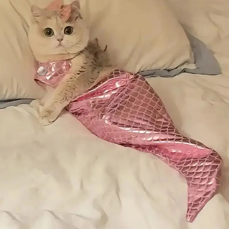 TONG Cat Mermaid Crossdressing Fish Tail Shape Cute Bikini Dog Summer Pet Clothes Pet Halloween Costume Cat Mermaid Costume
TONG Cat Mermaid Crossdressing Fish Tail Shape Cute Bikini Dog Summer Pet Clothes Pet Halloween Costume Cat Mermaid Costume