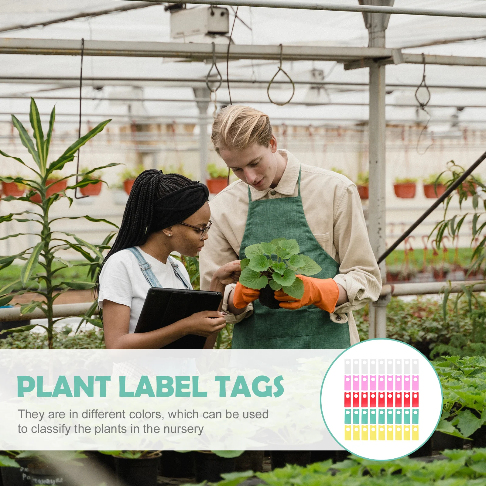 500pcs Plant Labels Gardening Outdoor Indoor Vegetables Markers Grape Watermelon Distinguish Tags Hanging Pollination
500pcs Plant Labels Gardening Outdoor Indoor Vegetables Markers Grape Watermelon Distinguish Tags Hanging Pollination