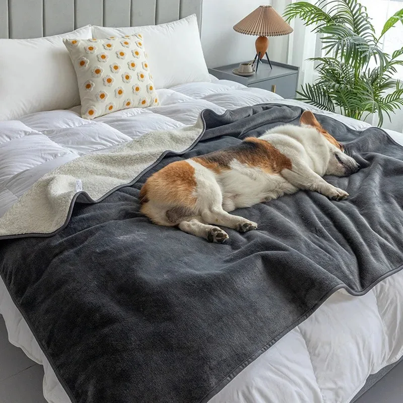 Premium Waterproof Cat & Dog Blanket, Puppy Blanket, Waterproof Dog Blanket, Blankets for Dogs, Cat Blanket Slate
Premium Waterproof Cat & Dog Blanket, Puppy Blanket, Waterproof Dog Blanket, Blankets for Dogs, Cat Blanket Slate