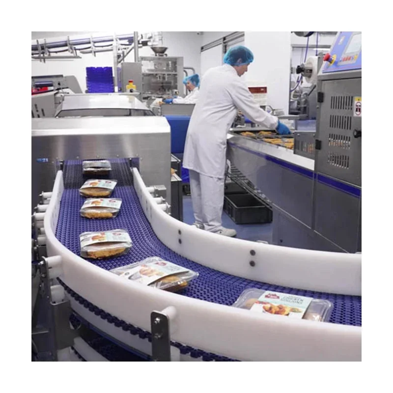 Washable food grade Plastic Flat Curved Meat Modular feed Convyeors manufacturers
Washable food grade Plastic Flat Curved Meat Modular feed Convyeors manufacturers