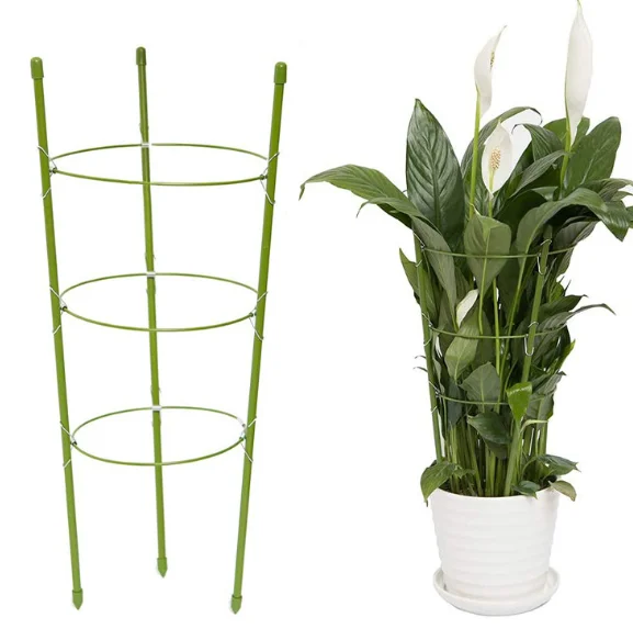 Кронштейн для крепления растений на опорах, железная проволочная опора для роз, круглая, с пластиковым покрытием
Кронштейн для крепления растений на опорах, железная проволочная опора для роз, круглая, с пластиковым покрытием