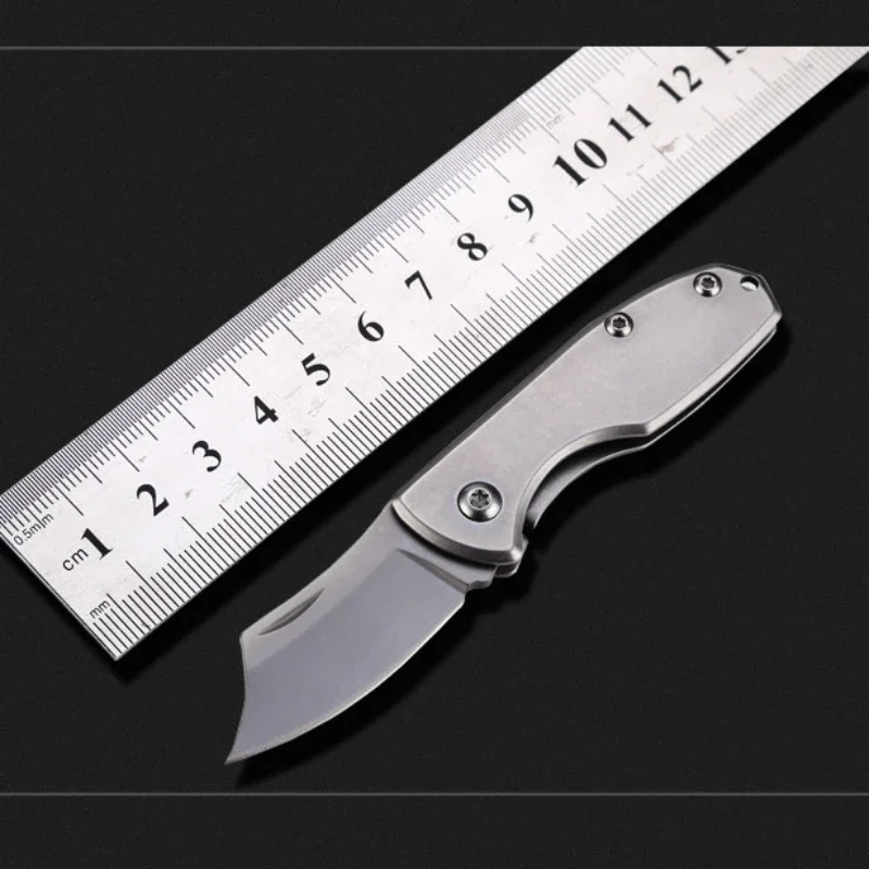 Portable Mini Compact Folding Knife, Outdoor Camping, Self Defense, Exquisite High Strength, Lightweight Gift Knife
Portable Mini Compact Folding Knife, Outdoor Camping, Self Defense, Exquisite High Strength, Lightweight Gift Knife