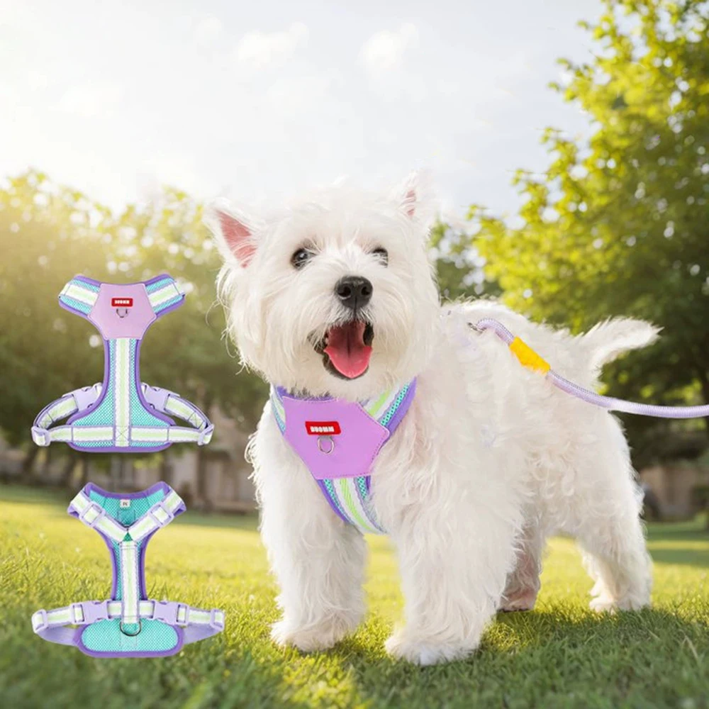 No Pull Pet Dog Harness for Small Dogs Pomeranian Schnauzer Outdoor Walking Supplies 2025 Newest Puppy Chest Straps
No Pull Pet Dog Harness for Small Dogs Pomeranian Schnauzer Outdoor Walking Supplies 2025 Newest Puppy Chest Straps