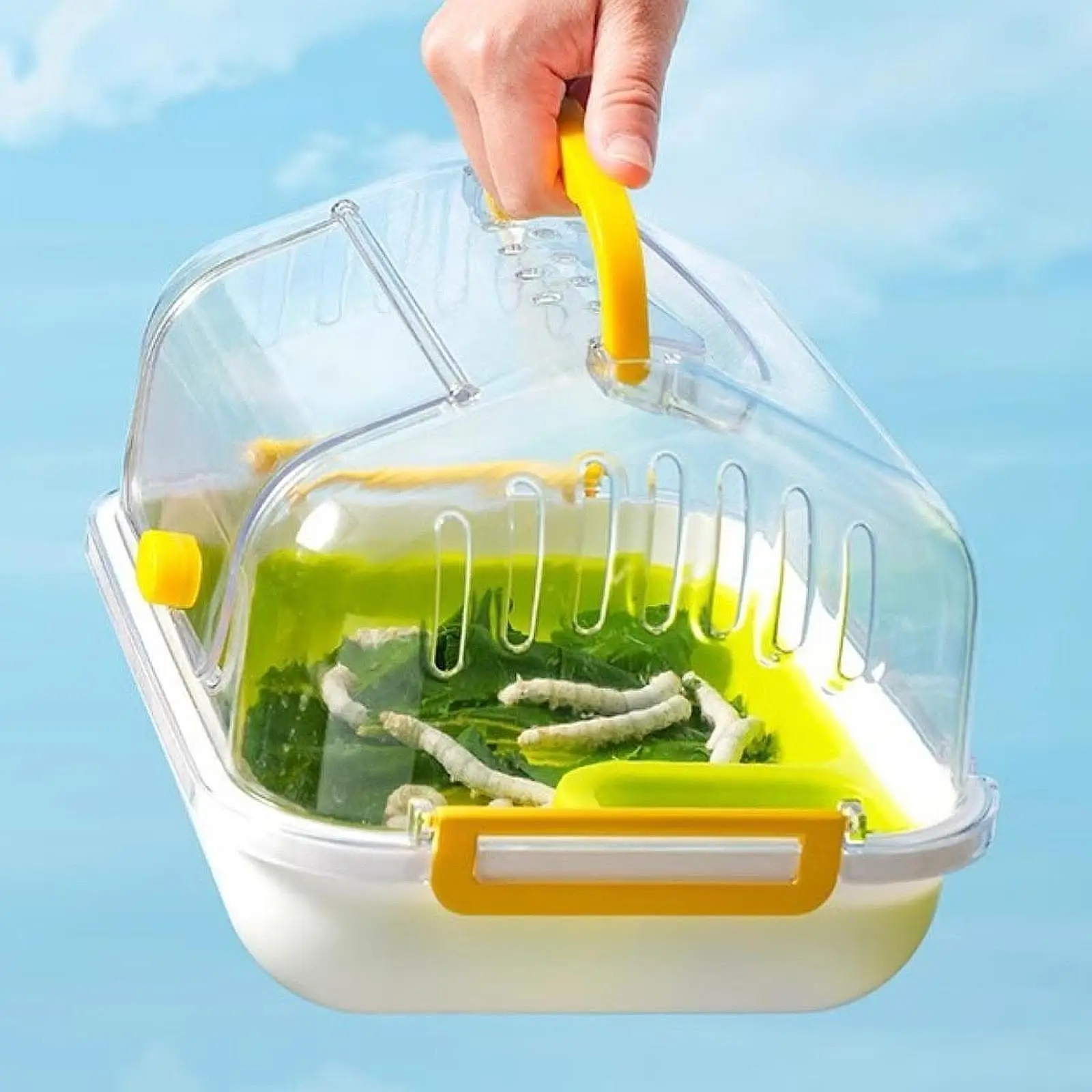 Turtle Tank Aquarium Pets Accessory with Lid Tortoises Case Reptile Carrier Box for Beetles Hermit Crabs Silkworms Crabs Snail
Turtle Tank Aquarium Pets Accessory with Lid Tortoises Case Reptile Carrier Box for Beetles Hermit Crabs Silkworms Crabs Snail