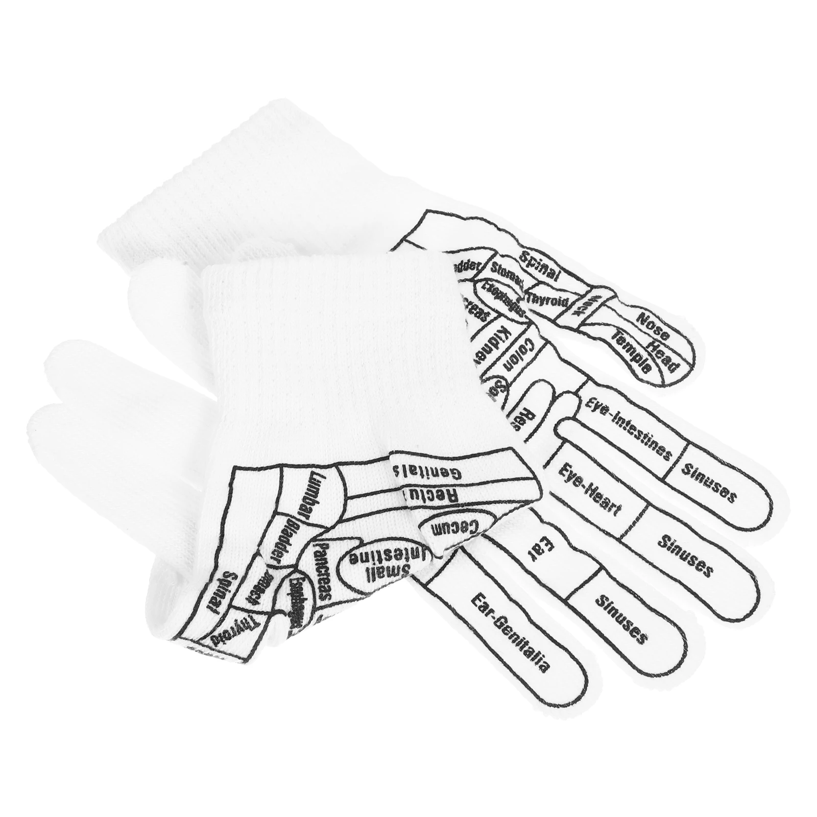 1Pair Massage Gloves Elastic Breathable Cotton Massaging Gloves for Hands Feet Multi-Use Pain Relief After Long Walk Work
1Pair Massage Gloves Elastic Breathable Cotton Massaging Gloves for Hands Feet Multi-Use Pain Relief After Long Walk Work