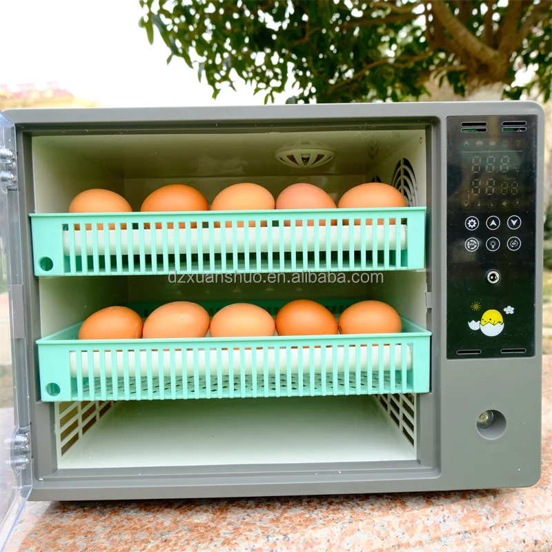 Dual Power Supply Incubadora De Huevos Automatic 24 Egg Incubators Hatching Machine
Dual Power Supply Incubadora De Huevos Automatic 24 Egg Incubators Hatching Machine