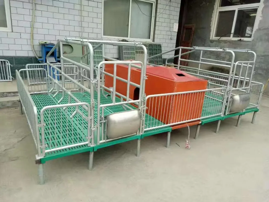 BAIYI Supply Farrowing Pen Farrowing Crate Farrowing Cages for Pigs Farm Breeding
BAIYI Supply Farrowing Pen Farrowing Crate Farrowing Cages for Pigs Farm Breeding