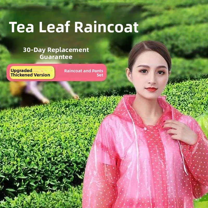 Women's Thickened Tea Picking Special Raincoat And Rain Pants Set Adult Outdoor Workwear Separate Design Durable Rain Gear
Women's Thickened Tea Picking Special Raincoat And Rain Pants Set Adult Outdoor Workwear Separate Design Durable Rain Gear