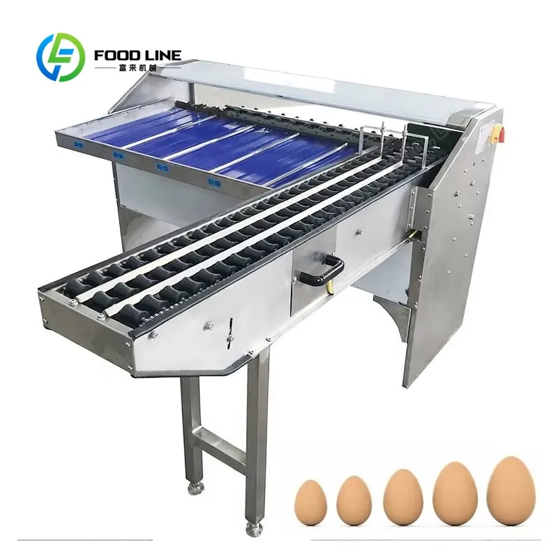 Automatic Egg Grader Customized Weight Sorting Machine Efficient Egg Grading Sorter for Poultry Industry
Automatic Egg Grader Customized Weight Sorting Machine Efficient Egg Grading Sorter for Poultry Industry