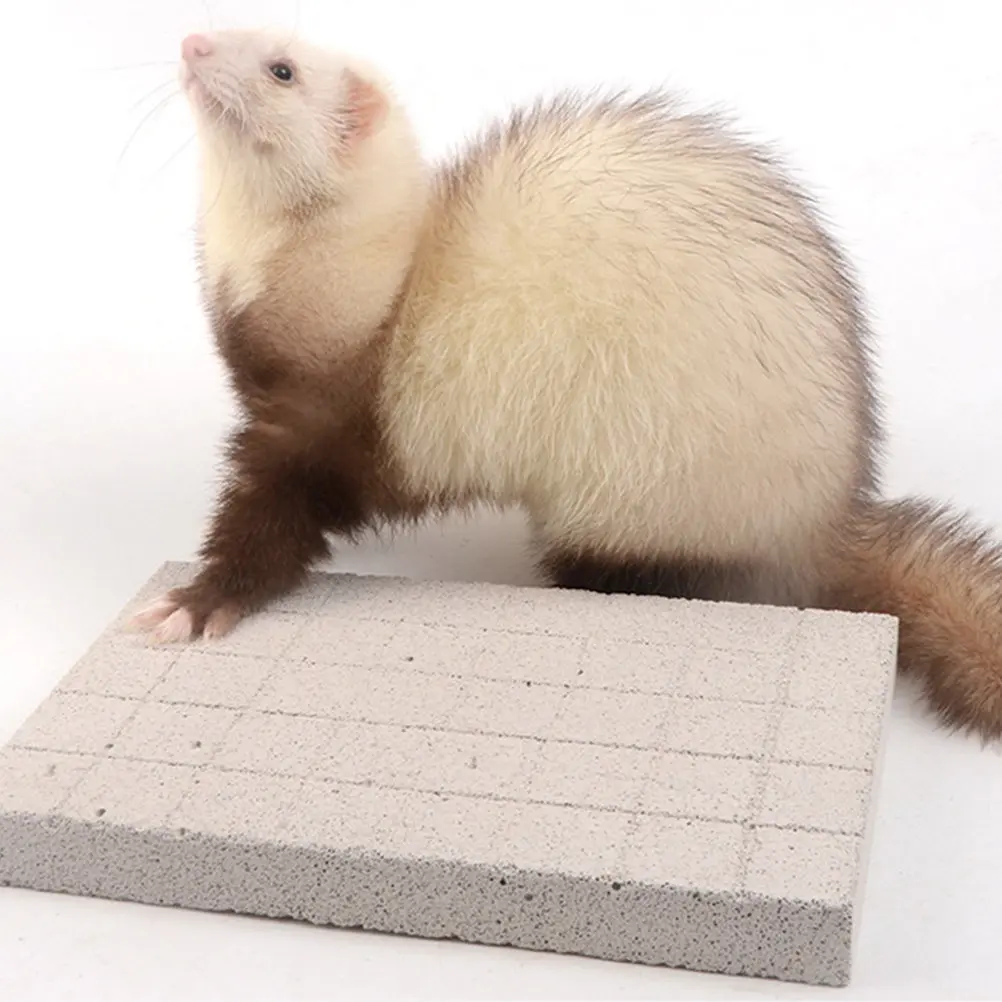 1 шт. Вулканический коврик для когтей животных, износостойкая доска для заточки когтей кроликов, для использования в клетках для белок, шиншилл, морских свинок
1 шт. Вулканический коврик для когтей животных, износостойкая доска для заточки когтей кроликов, для использования в клетках для белок, шиншилл, морских свинок