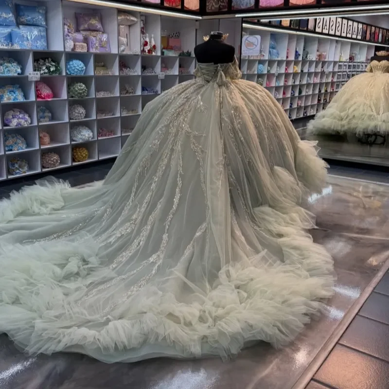 Mint Grren Shiny Quinceanera Dresses Off Shoulder Ball Gown Sweet 16 Dress Applique Lace Beading Tiered Tull Birthday Party
Mint Grren Shiny Quinceanera Dresses Off Shoulder Ball Gown Sweet 16 Dress Applique Lace Beading Tiered Tull Birthday Party