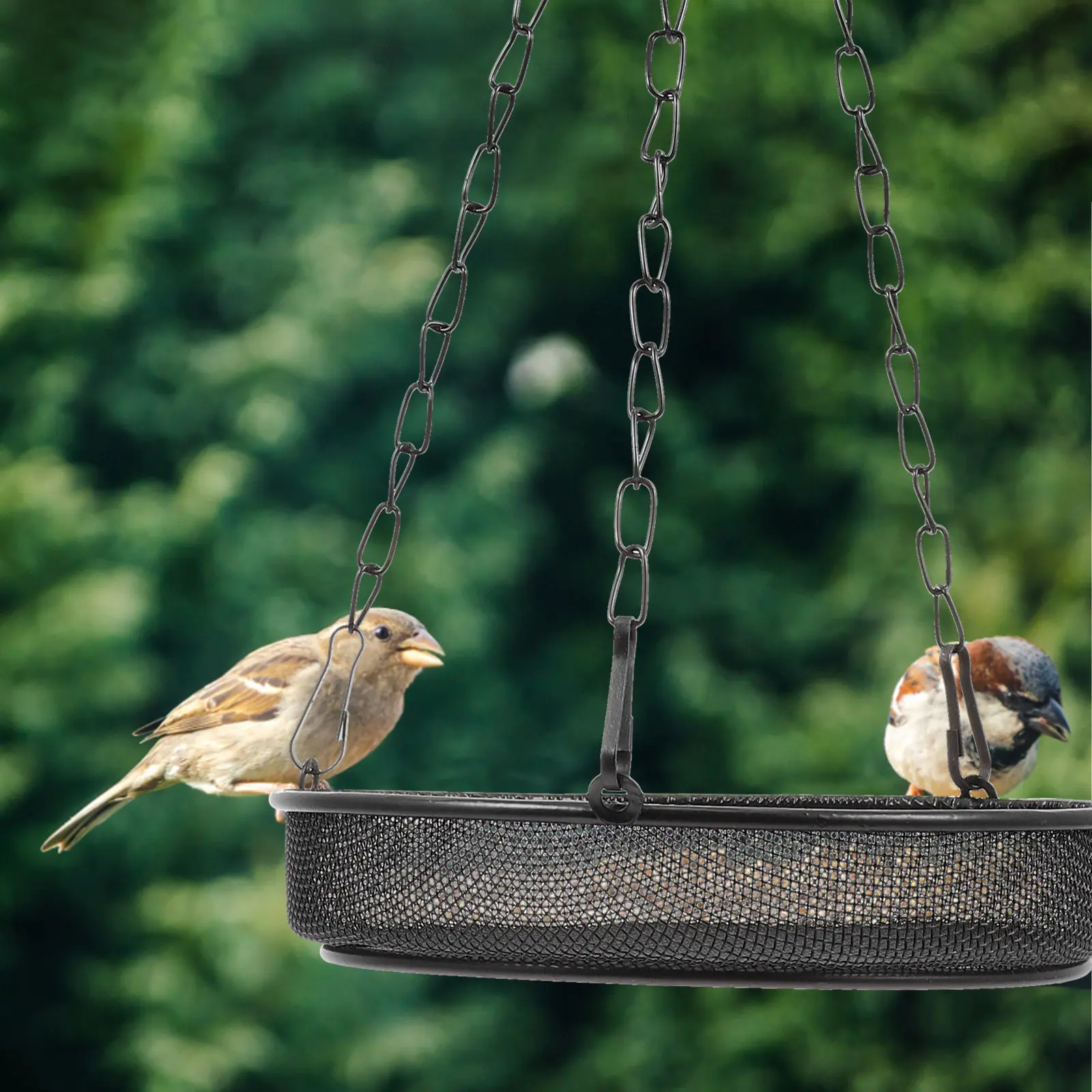 Steel Hanging Bird Feeder Mesh Design Outdoor Bird Food Dispenser for Small Birds Garden Yard Patio Courtyard Branch
Steel Hanging Bird Feeder Mesh Design Outdoor Bird Food Dispenser for Small Birds Garden Yard Patio Courtyard Branch