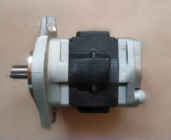 2025 новый специальный шестеренный насос SGP1B36AS1H12-L034C
2025 новый специальный шестеренный насос SGP1B36AS1H12-L034C