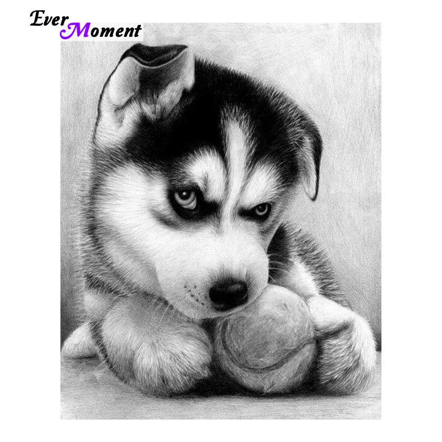 Diy полная квадратная круглая алмазная живопись хаски вышивка крестиком домашнее украшение собака Алмазная мозаика вышивка картины ASF497
Diy полная квадратная круглая алмазная живопись хаски вышивка крестиком домашнее украшение собака Алмазная мозаика вышивка картины ASF497