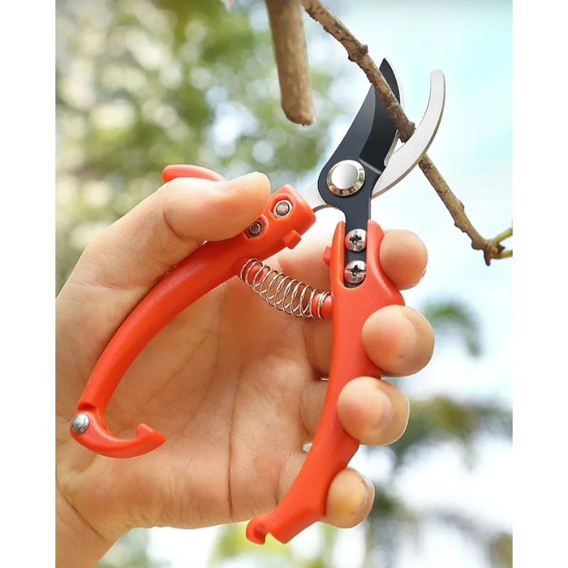 Обрезные инструменты для садоводства, зеленые растения и ветки, уличные бытовые ветки цветов и садовые инструменты
Обрезные инструменты для садоводства, зеленые растения и ветки, уличные бытовые ветки цветов и садовые инструменты