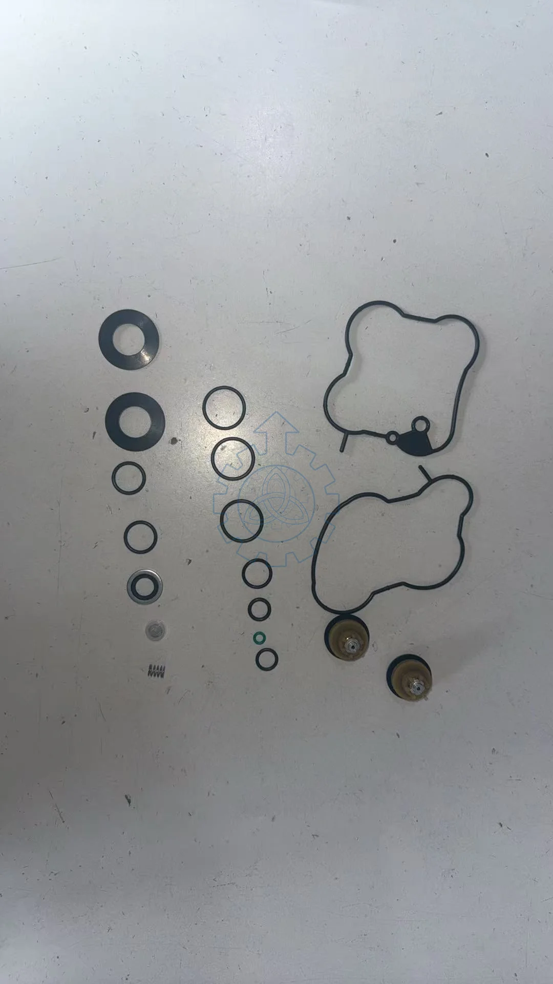 2021086R 1856311R 1744084R 1726500R 1740106R EGR Exhaust Gas Recirculation Solenoid Valve Repair Kit
2021086R 1856311R 1744084R 1726500R 1740106R EGR Exhaust Gas Recirculation Solenoid Valve Repair Kit
