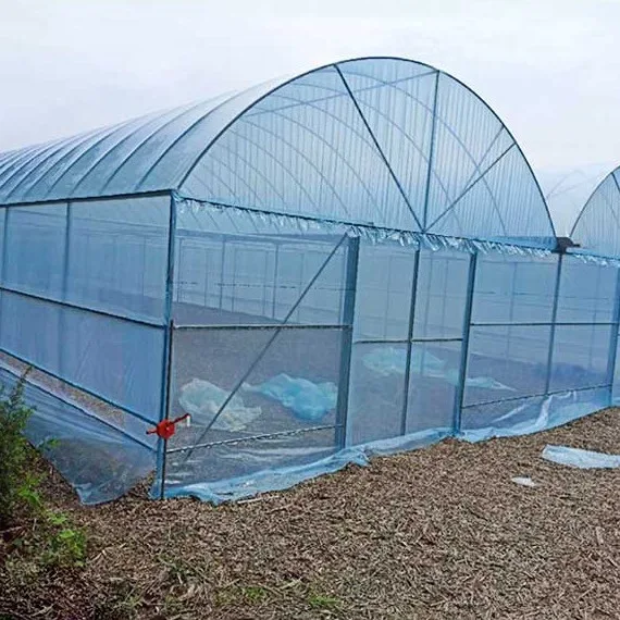 2025Commercial Farming Plastic Green House Metal Frame Structure Single Span High Tunnel Agriculture Greenhouse
2025Commercial Farming Plastic Green House Metal Frame Structure Single Span High Tunnel Agriculture Greenhouse