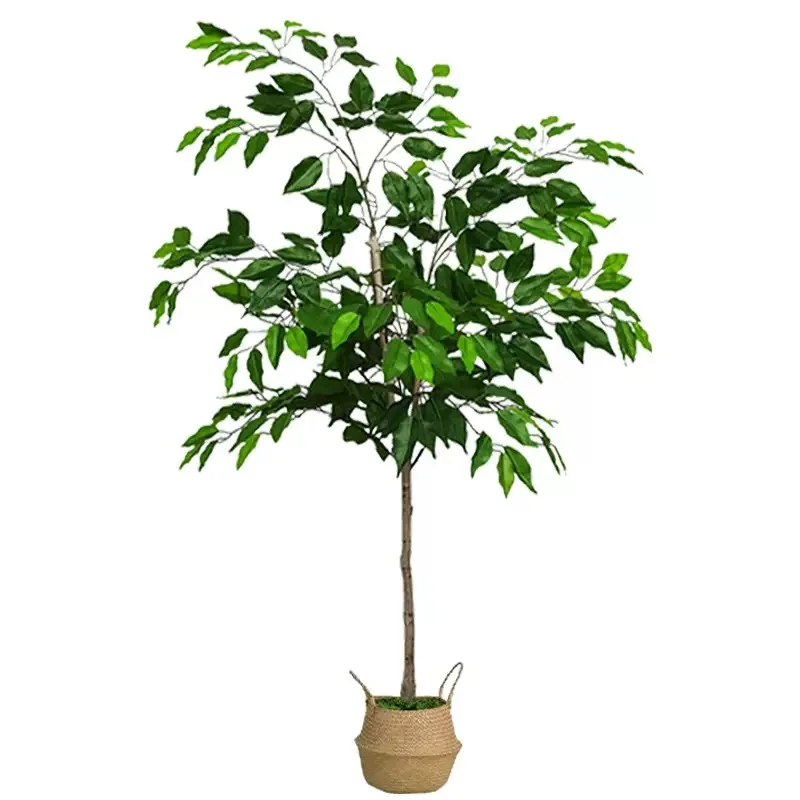 Wholesale PE Simulation Ficus Realistic UV Resistant Eco-Friendly Artificial Plant Trees with Sun Protection for Indoor Use
Wholesale PE Simulation Ficus Realistic UV Resistant Eco-Friendly Artificial Plant Trees with Sun Protection for Indoor Use