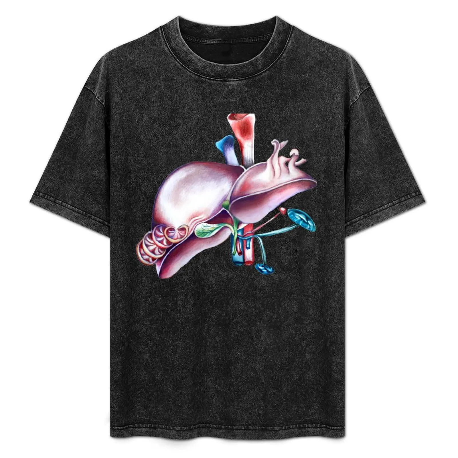 Liver T-Shirt All Weather Casual Short Sleeve
Liver T-Shirt All Weather Casual Short Sleeve