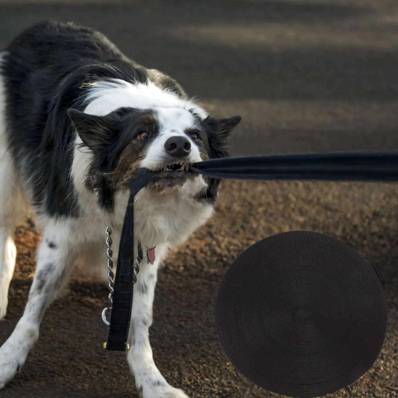 High-Durability Nylon Webbing Heavy-Duty Wear-Resistant Uv-Protected Multi-Function Strap for Cargo Dog Leashes Belts Backpacks
High-Durability Nylon Webbing Heavy-Duty Wear-Resistant Uv-Protected Multi-Function Strap for Cargo Dog Leashes Belts Backpacks