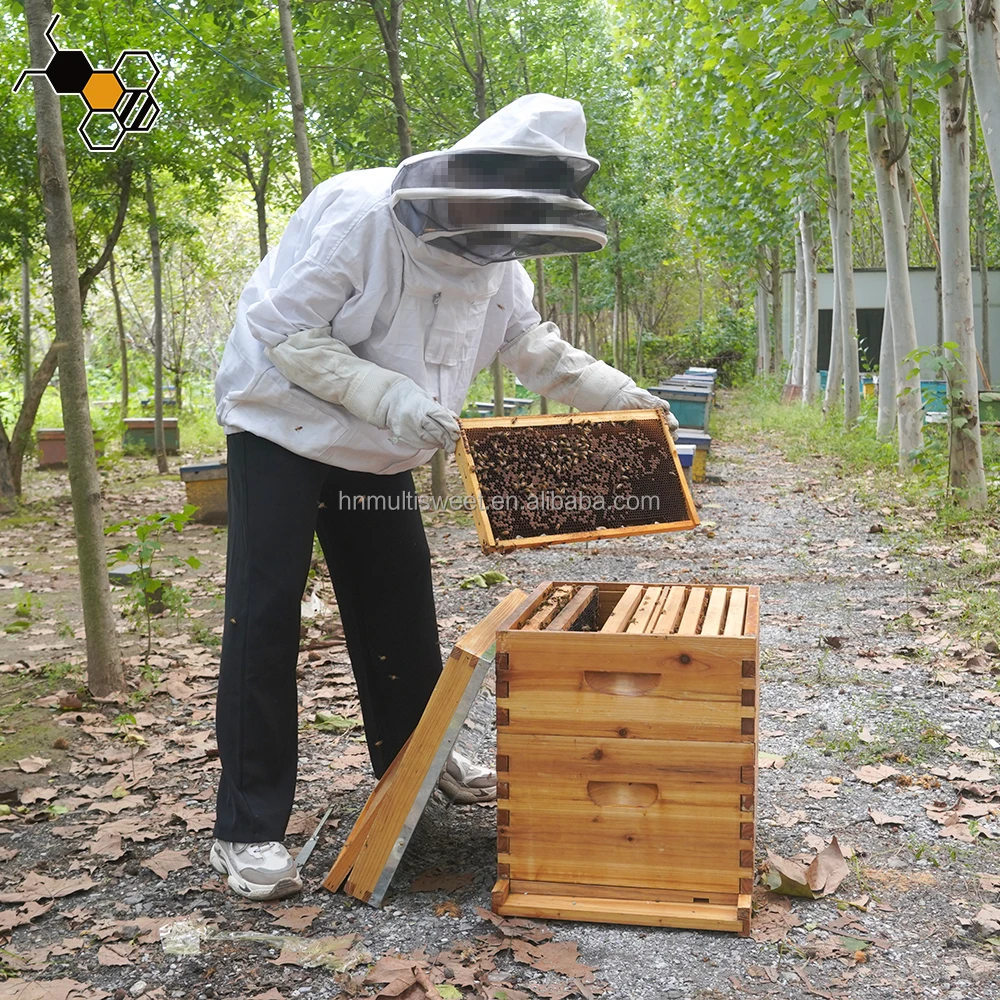 Wax Dipped 10 Frames Langstroth Beehive Kit, Wooden Beehive for Beekeeping
Wax Dipped 10 Frames Langstroth Beehive Kit, Wooden Beehive for Beekeeping