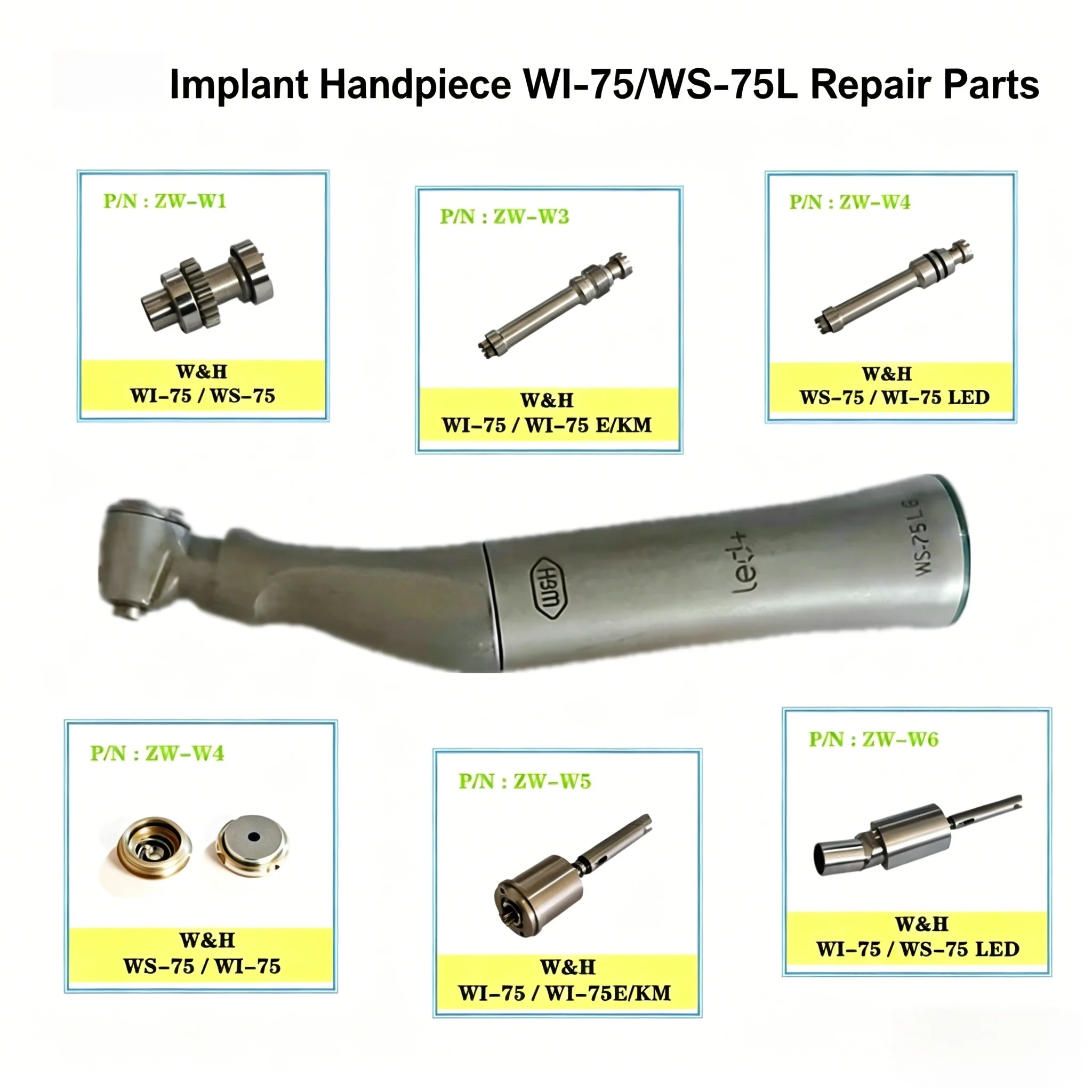 Dental Implant Handpiece Repair Parts for W*H WI-75 WS-75L Gear Cartridge Drive Shaft Back Cap Replacement Spare Parts
Dental Implant Handpiece Repair Parts for W*H WI-75 WS-75L Gear Cartridge Drive Shaft Back Cap Replacement Spare Parts