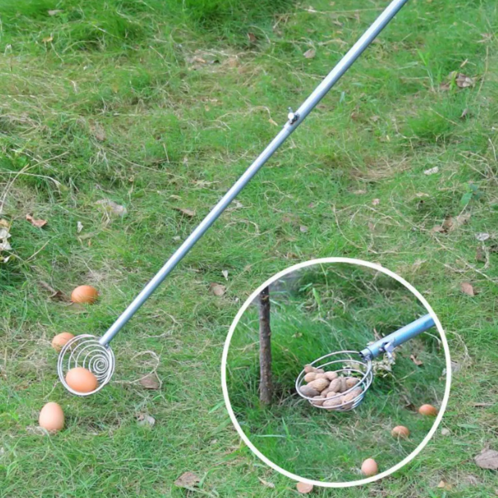 Long Handle Nut Gatherer Stainless Steel Ground Collection Tool Spiral Basket Pickup Tool Multi-Functional Telescopic Oval
Long Handle Nut Gatherer Stainless Steel Ground Collection Tool Spiral Basket Pickup Tool Multi-Functional Telescopic Oval