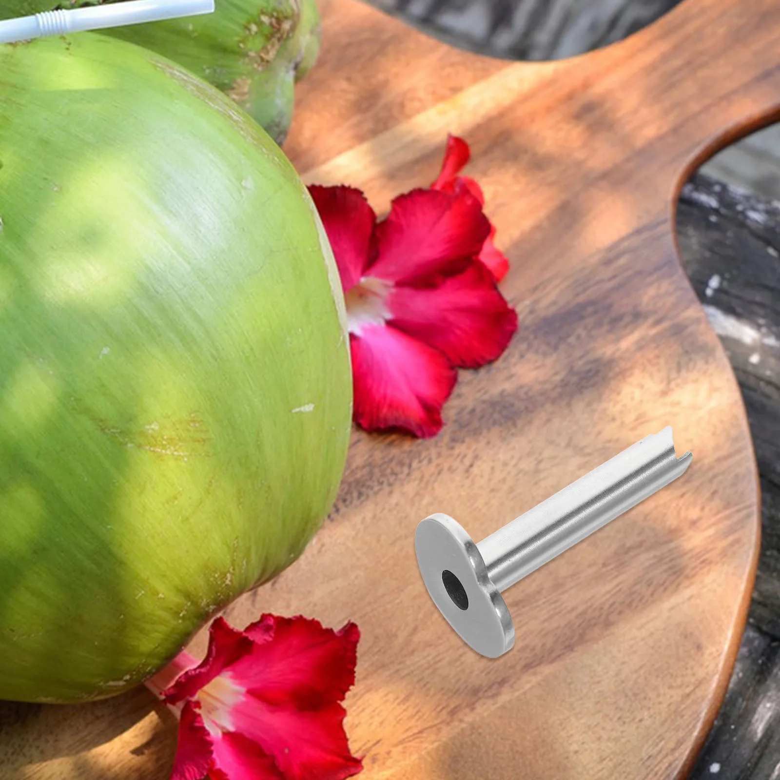 2Pcs Coconut Hole Puncher Tool - Ergonomic Stainless Steel Opener for Effortless Water Extraction Portable Kitchen Garden
2Pcs Coconut Hole Puncher Tool - Ergonomic Stainless Steel Opener for Effortless Water Extraction Portable Kitchen Garden
