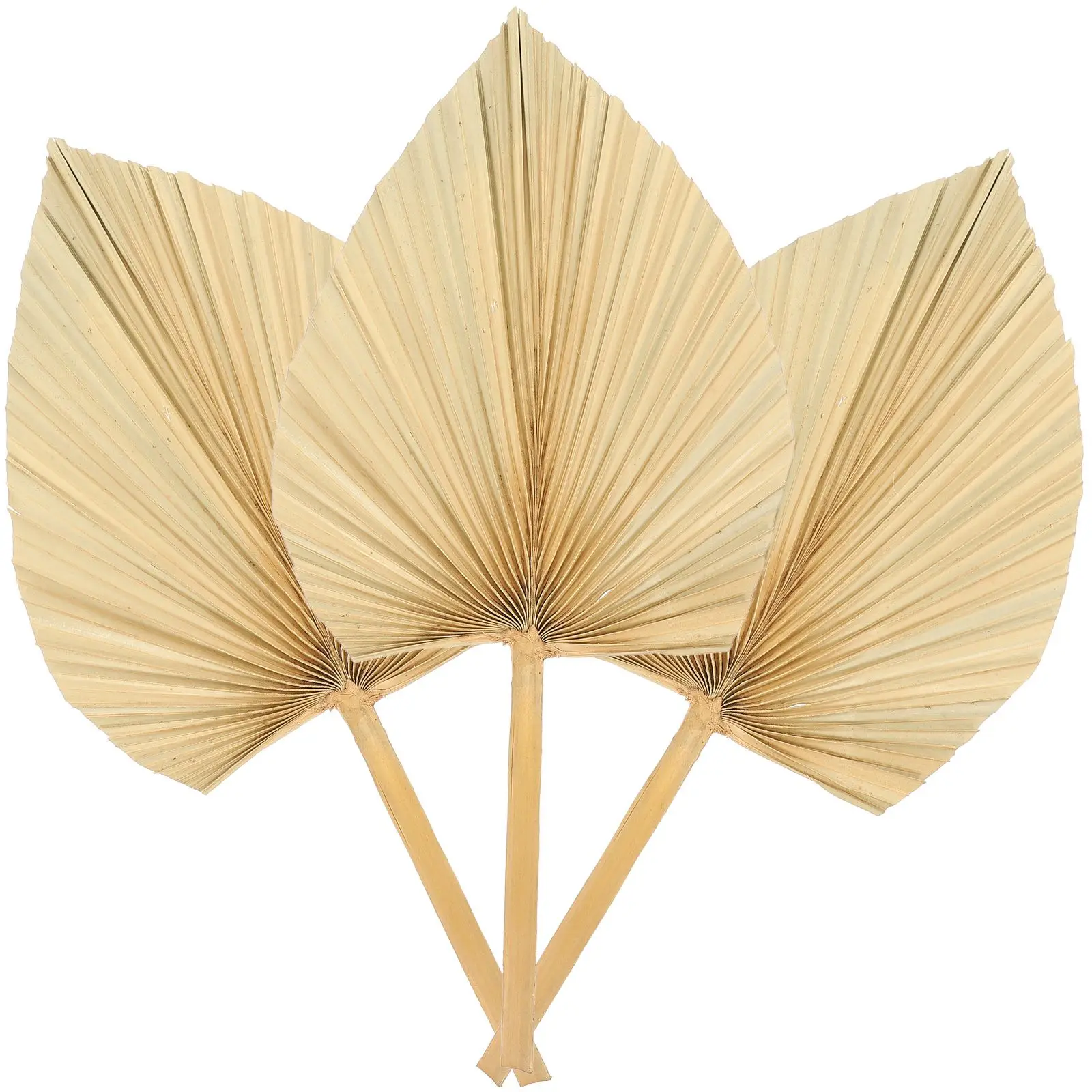 3 Pcs Palm Decor Palm Leaf Decoration Sunflower Fan Leaf Decoration for Wedding Party Christmas Holiday Home Supply
3 Pcs Palm Decor Palm Leaf Decoration Sunflower Fan Leaf Decoration for Wedding Party Christmas Holiday Home Supply