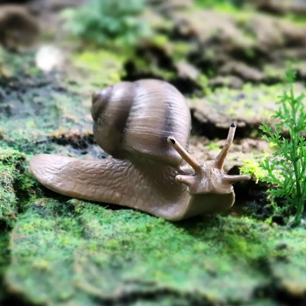 Solid Delicate Puzzle Science Education Micro Landscape Snail Statue Snail Model Garden Decoration Simulation Insect
Solid Delicate Puzzle Science Education Micro Landscape Snail Statue Snail Model Garden Decoration Simulation Insect