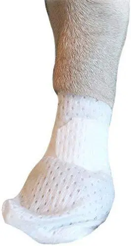 Эластичные бинты для лап домашних животных — нескользящие, дышащие, моющиеся, регулируемый ремень, 12 шт. в упаковке большого размера
Эластичные бинты для лап домашних животных — нескользящие, дышащие, моющиеся, регулируемый ремень, 12 шт. в упаковке большого размера