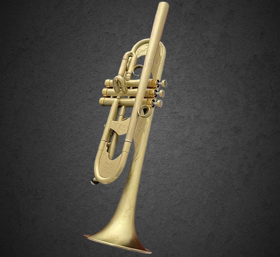 Новая карманная труба Bb из матовой латуни 2026 года, с большим колом, клавишей Abalone, 2 мундштуками, 33
Новая карманная труба Bb из матовой латуни 2026 года, с большим колом, клавишей Abalone, 2 мундштуками, 33