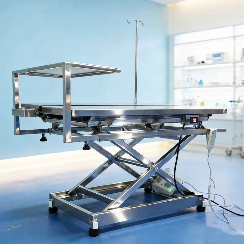 Electric Veterinary Examination Table Stainless Steel Adjustable Height Operating Table for Animal Hospital Surgery Room
Electric Veterinary Examination Table Stainless Steel Adjustable Height Operating Table for Animal Hospital Surgery Room