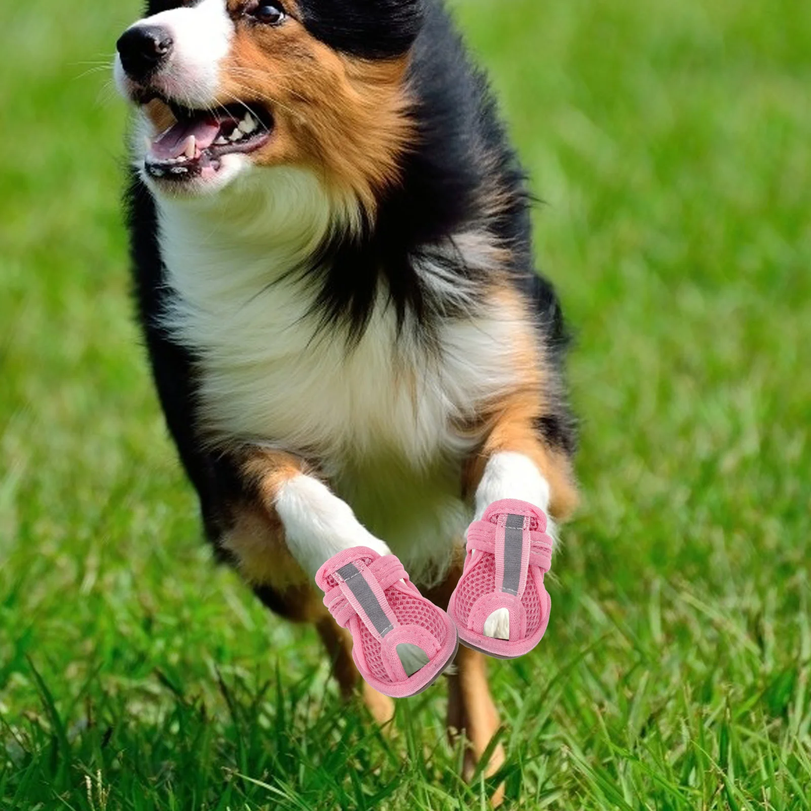 4pcs Dog Shoes Pet Sandals Cooling Booties Summer Beach Mesh Flexible Sole 5 Sizes Water Pavement Deck Protection
4pcs Dog Shoes Pet Sandals Cooling Booties Summer Beach Mesh Flexible Sole 5 Sizes Water Pavement Deck Protection