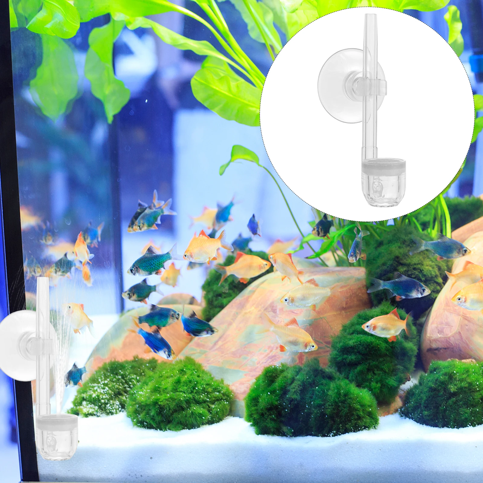 Aquarium Air Bubble Tray Oxygen Diffuser Oxygen Diffuser for Fish Tank Hydroponic System Transparent Acrylic Bubbler
Aquarium Air Bubble Tray Oxygen Diffuser Oxygen Diffuser for Fish Tank Hydroponic System Transparent Acrylic Bubbler