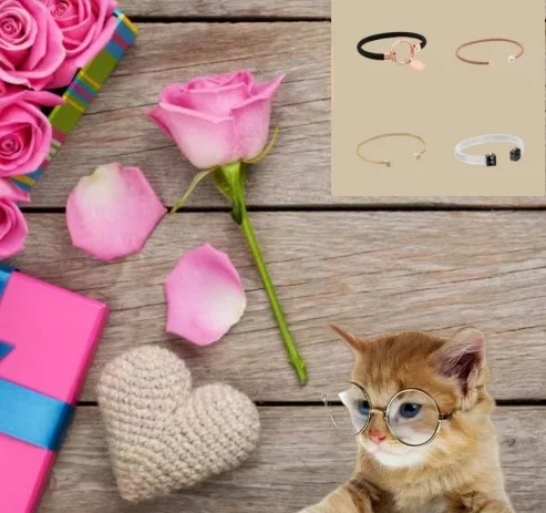 2025 New high-end Spanish fashion cat accessories, fashionable pet gifts holiday party gifts, high-quality high-end products 21
2025 New high-end Spanish fashion cat accessories, fashionable pet gifts holiday party gifts, high-quality high-end products 21