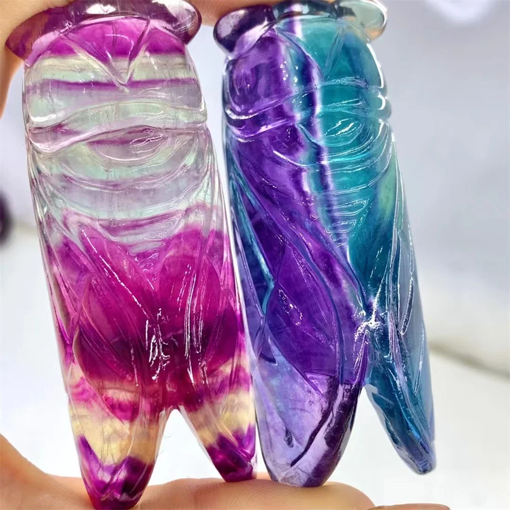 1 Pc Natural Stone Rainbow Fluorite Cicada Handmade Carved Animal Figurine Home Decor Jewelry Gift
1 Pc Natural Stone Rainbow Fluorite Cicada Handmade Carved Animal Figurine Home Decor Jewelry Gift