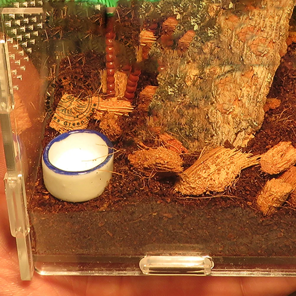 24pcs Reptile Water Dish Ceramic Bowl Mini Pet Feeder Scorpion Spider Terrarium Easy Clean Durable Baby Animals Turtle Lizard
24pcs Reptile Water Dish Ceramic Bowl Mini Pet Feeder Scorpion Spider Terrarium Easy Clean Durable Baby Animals Turtle Lizard