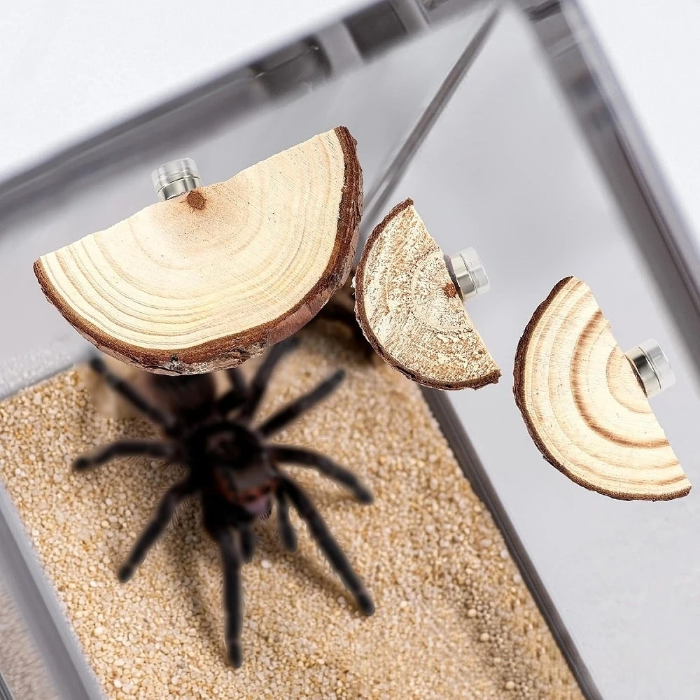 Magnetic Wood Jumping Spider Perch Reptile Terrarium Platform Small Pet Habitat Decor
Magnetic Wood Jumping Spider Perch Reptile Terrarium Platform Small Pet Habitat Decor
