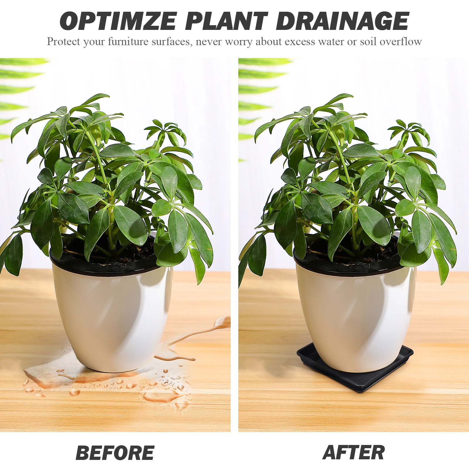 8pcs Plastic Flower Pot Trays Bonsai Square Saucer Plant Holders Leakproof Durable Lightweight Reusable Gardening Bases Soil
8pcs Plastic Flower Pot Trays Bonsai Square Saucer Plant Holders Leakproof Durable Lightweight Reusable Gardening Bases Soil