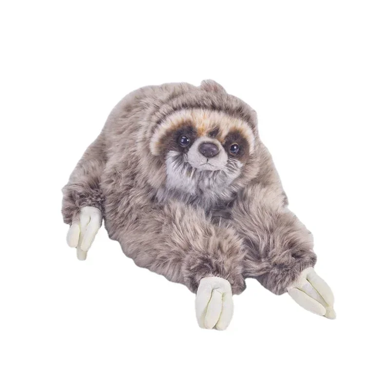Children's Birthday Christmas Gift 35cm Plush Toy Simulation Three Toed Sloth Soft Children's Birthday Christmas Gift
Children's Birthday Christmas Gift 35cm Plush Toy Simulation Three Toed Sloth Soft Children's Birthday Christmas Gift