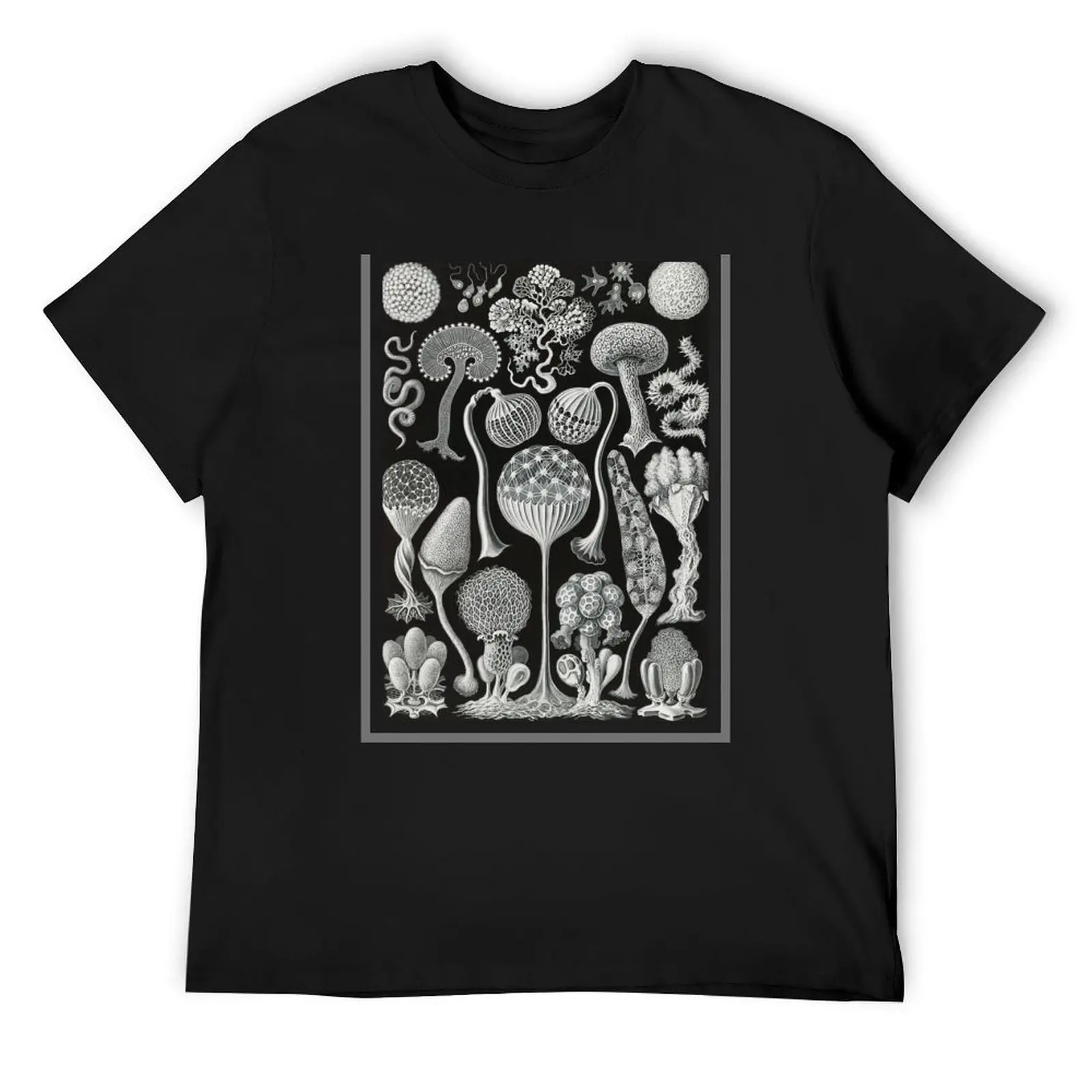 Slime Mold - Nature T-Shirt graphic shirts football t shirt Anime t-shirt anime clothes tee shirts for men
Slime Mold - Nature T-Shirt graphic shirts football t shirt Anime t-shirt anime clothes tee shirts for men