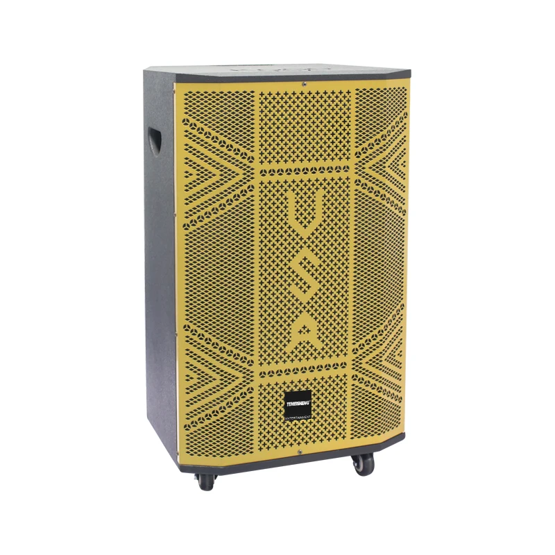 T 15 Inch Outdoor Music Karaoke Bluetooth Trolley Speaker Home Speaker With Wireless Microphone For Kids Adults 
T 15 Inch Outdoor Music Karaoke Bluetooth Trolley Speaker Home Speaker With Wireless Microphone For Kids Adults
