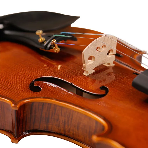Professional 4/4 Full Size Acoustic Violin Premium Stringed Instrument With Accessories For Student Practice Playing
Professional 4/4 Full Size Acoustic Violin Premium Stringed Instrument With Accessories For Student Practice Playing
