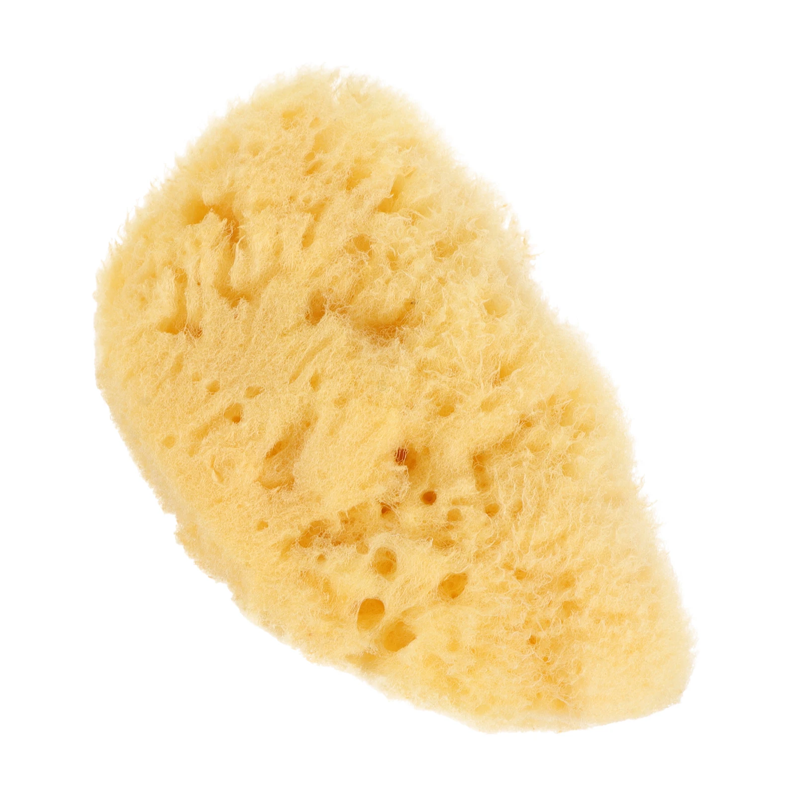 Watercolor Sponge Tools 20-25mm Random Shape Natural Sponges for Kids Painting Supplies Reusable Absorbs Water Stimulate
Watercolor Sponge Tools 20-25mm Random Shape Natural Sponges for Kids Painting Supplies Reusable Absorbs Water Stimulate