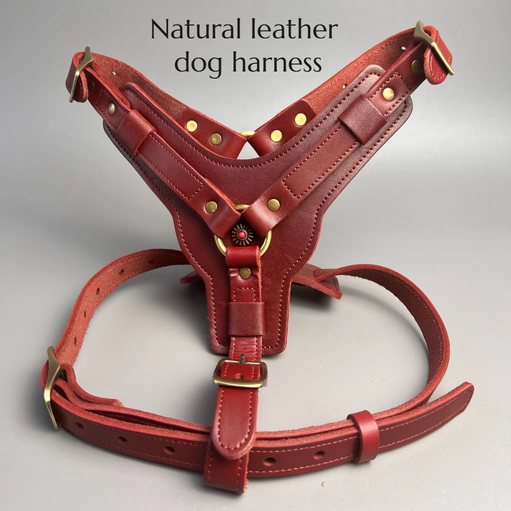 Retro Natural cowhide leather dog harness, luxurious leather dog leash for large and medium-sized dogs red
Retro Natural cowhide leather dog harness, luxurious leather dog leash for large and medium-sized dogs red