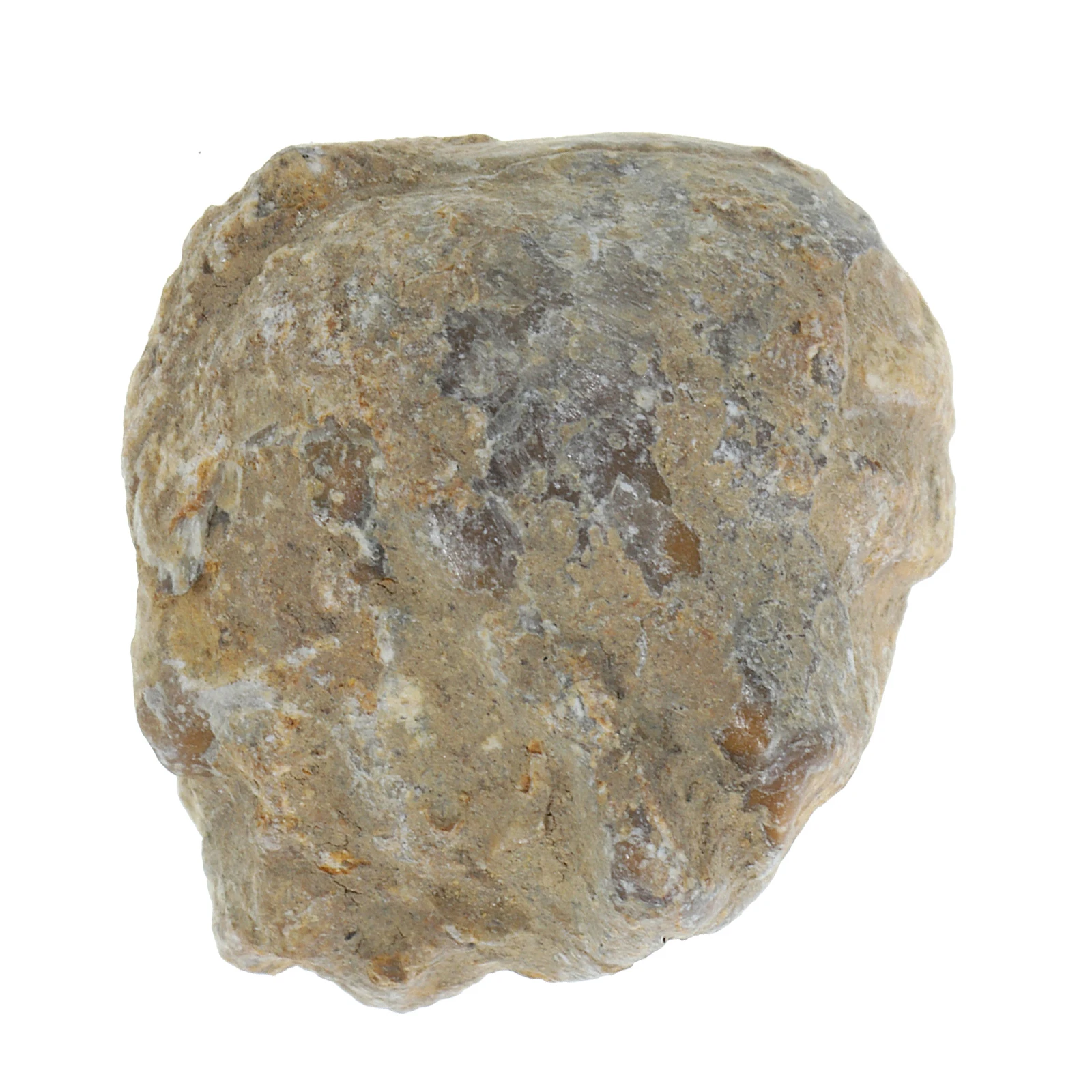 s Specimen High Quality Geological Study Kids Educational Toy Unique Desktop Adornment Gift Idea Model Decor Table
s Specimen High Quality Geological Study Kids Educational Toy Unique Desktop Adornment Gift Idea Model Decor Table
