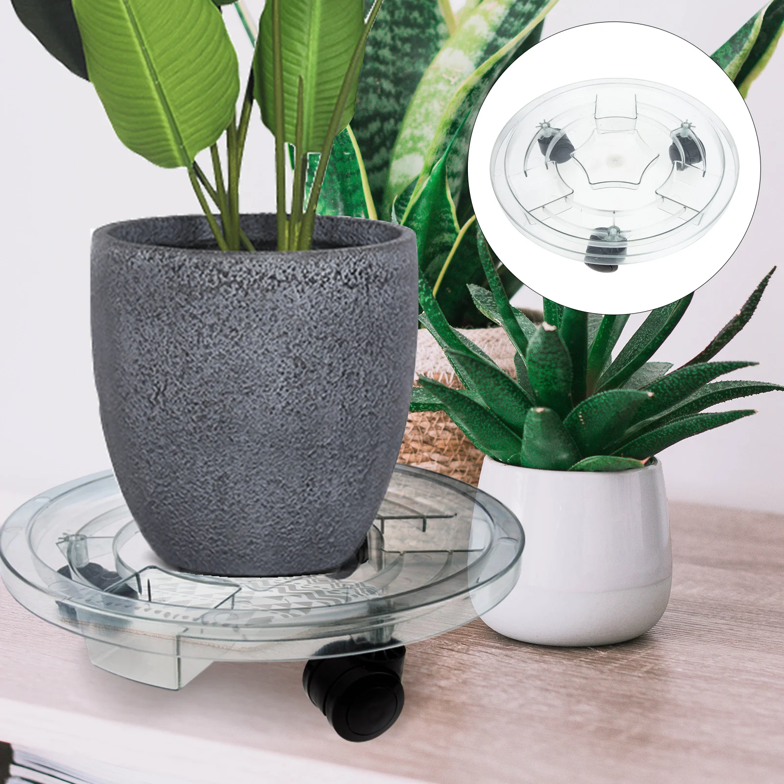 Plant Pot Tray Flower Rolling Stand Large Pots Round Movable Plastic Garden Flowerpot Base Outdoor Planter
Plant Pot Tray Flower Rolling Stand Large Pots Round Movable Plastic Garden Flowerpot Base Outdoor Planter